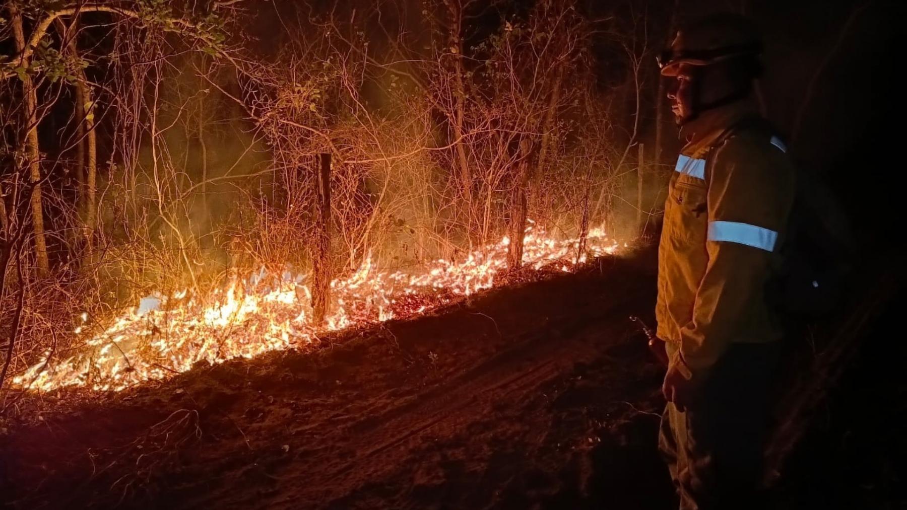 Bomberos intentan sofocar el fuego, pero la situación se complica por la sequía y los vientos.