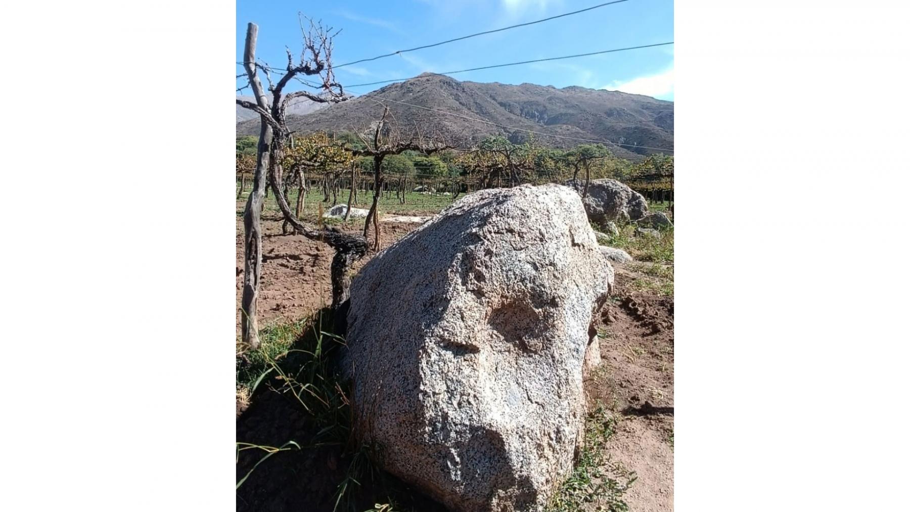 Entre las antiguas vides surgen rocas gigantes